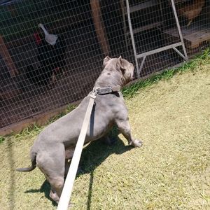 Meet your Posher, Billy